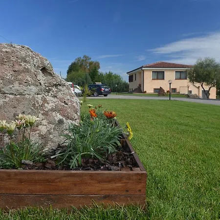 Nit I Dia ألغيرو